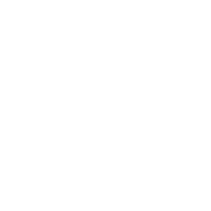 Nederlandse Hartstichting