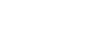 The Sting Companies