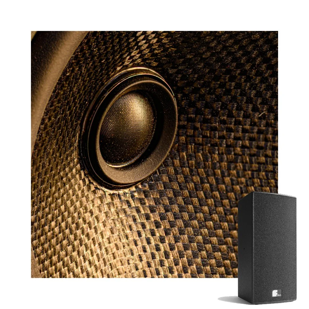 Accu speaker
