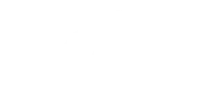 Fe
